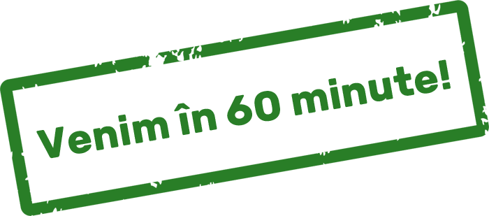60minute-verde